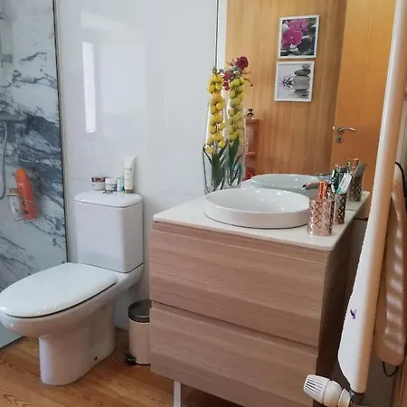 Casa Dos Passadicos Do Mondego Holiday home Cavadoude